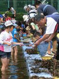 120603 薬円台 (1)