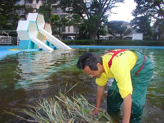 Makomoyakuen